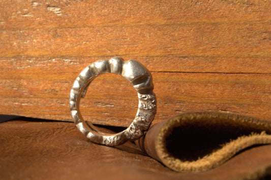 Echoes of the Earth Ring