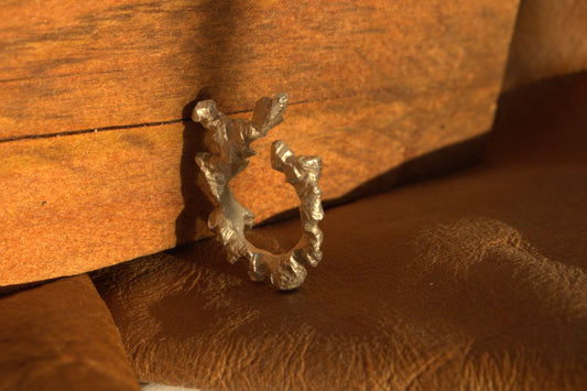 Whispers of the Willow Ring