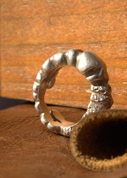 Echoes of the Earth Ring
