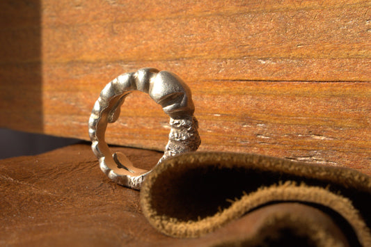 Echoes of the Earth Ring