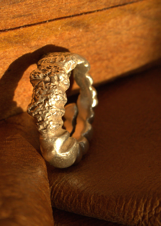 Echoes of the Earth Ring