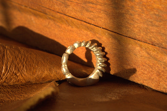 Scales of the Past Ring