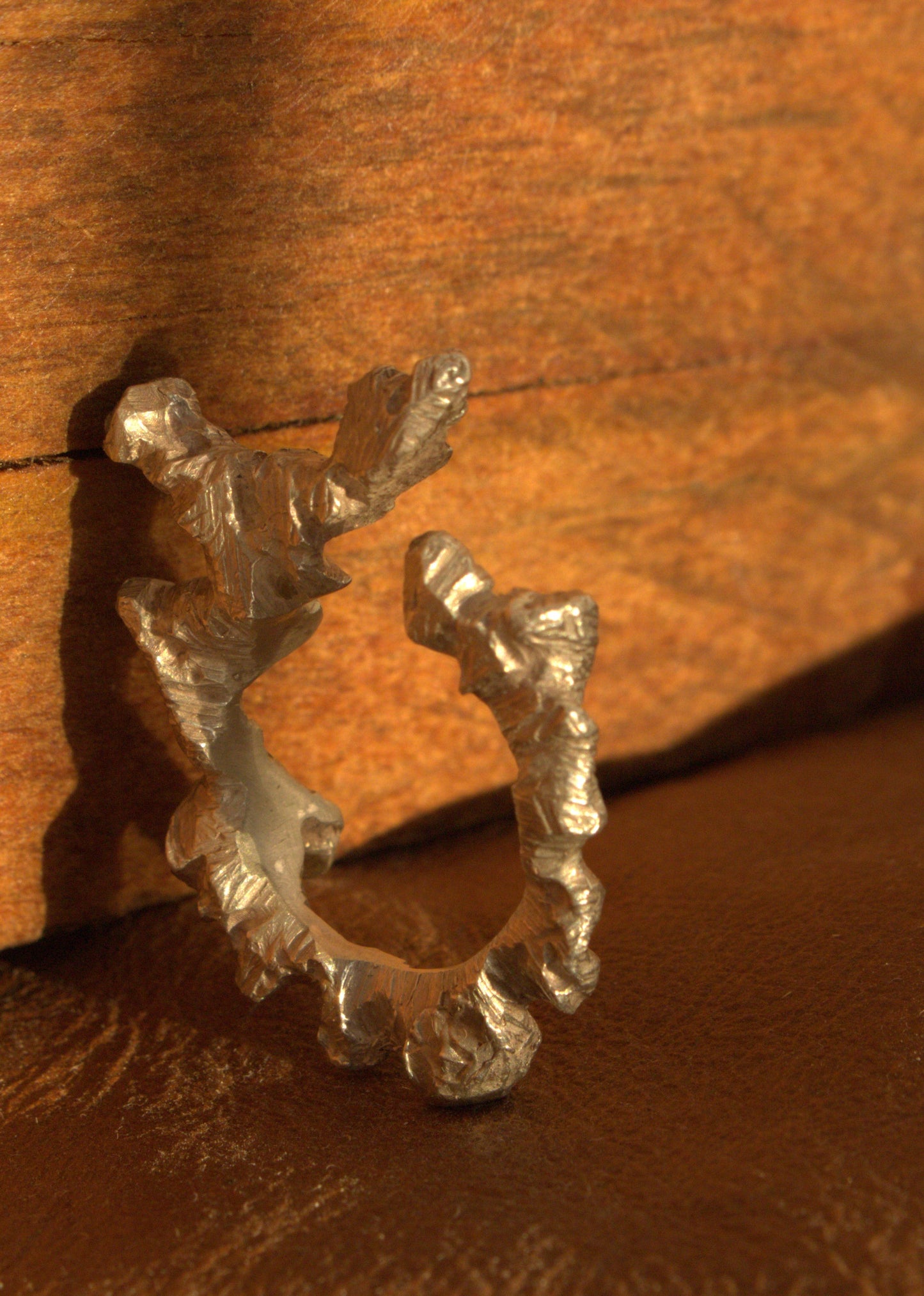 Whispers of the Willow Ring