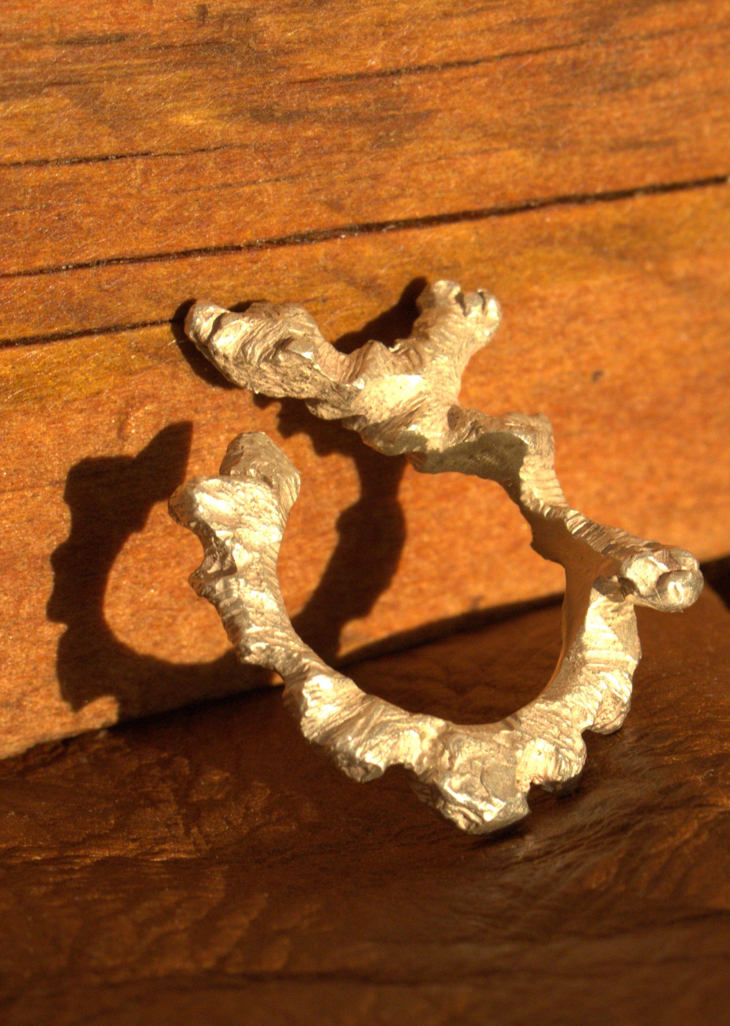 Whispers of the Willow Ring