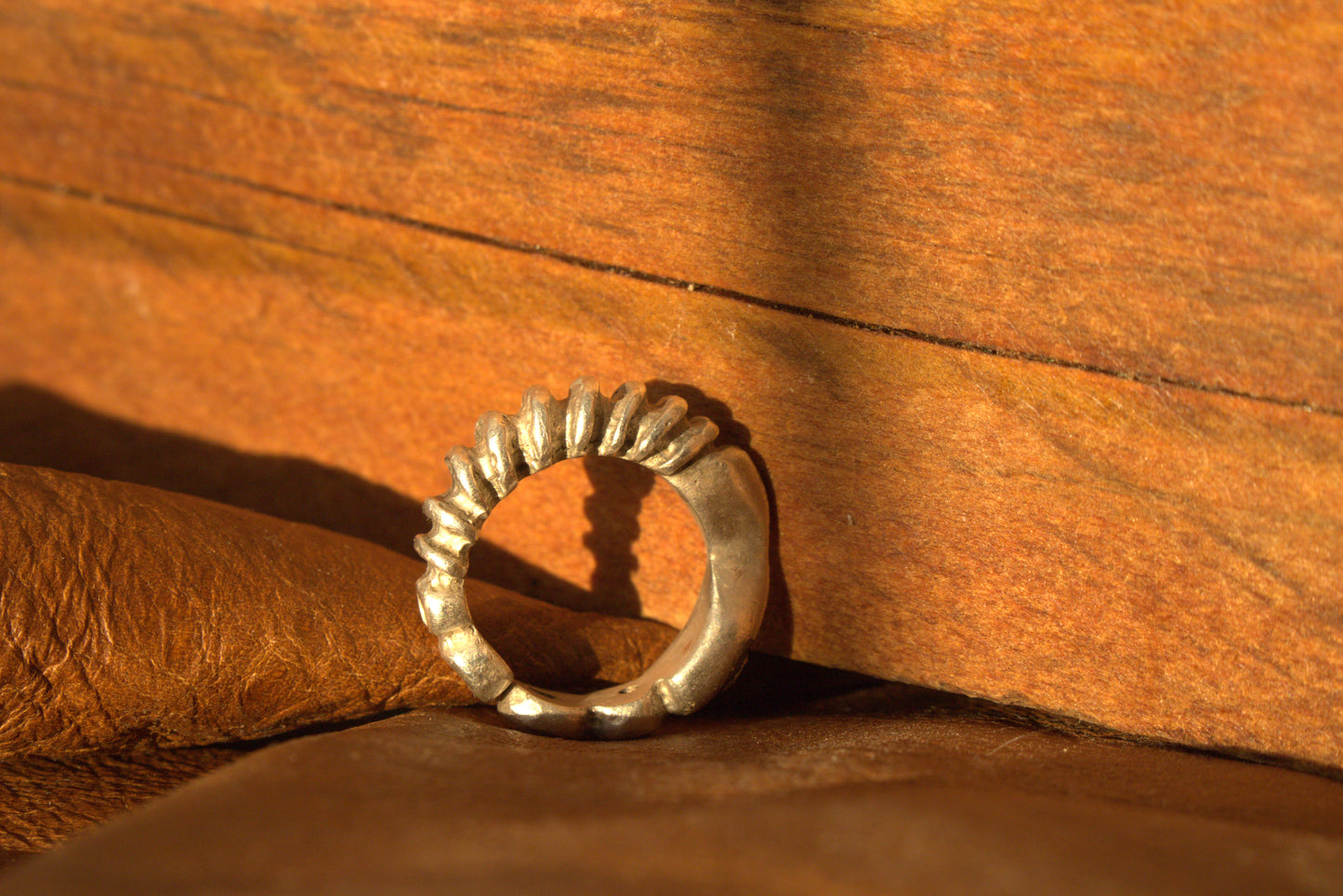 Scales of the Past Ring